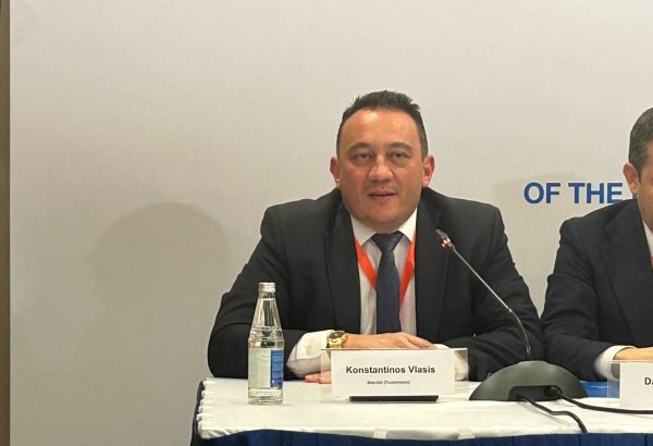 No violations registered at presidential election in Azerbaijan - international observer