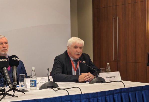 Presidential election in Azerbaijan distinguished by orderliness and organization - Russian politician