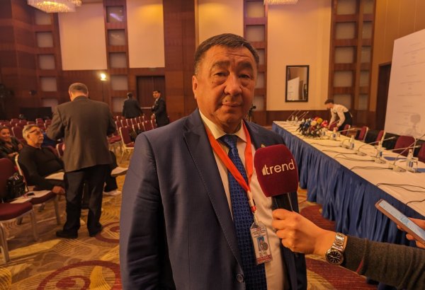 All election rules observed at Azerbaijan's polling stations - member of Kyrgyz CEC