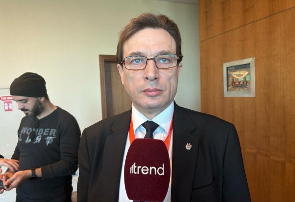 Azerbaijani voters display amazing optimism in presidential election - Moldovan MP