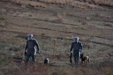 В Ташкенте прошла фотовыставка "В Карабахе снова восходит солнце"   (ФОТО)