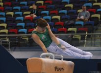 Azerbaijan hosts second day of FIG Artistic Gymnastics World Cup competitions (PHOTO)