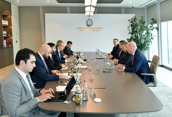 Azerbaijan's SOCAR and bp review green energy transition co-work (PHOTO)