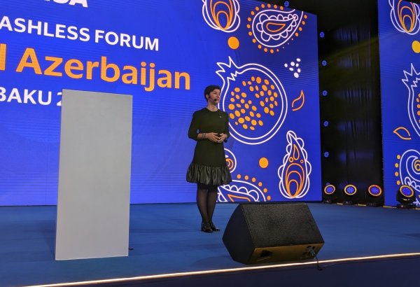 Visa sees strategic partner in Azerbaijan - senior vice president