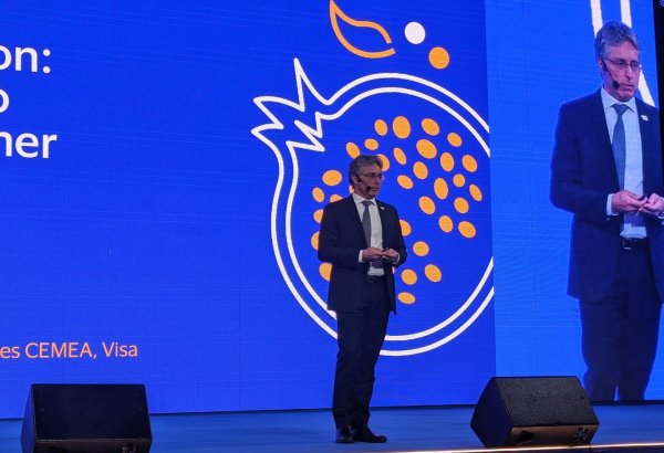 Digital payments account for more than half of Visa's payments in CEMEA region - senior vice president
