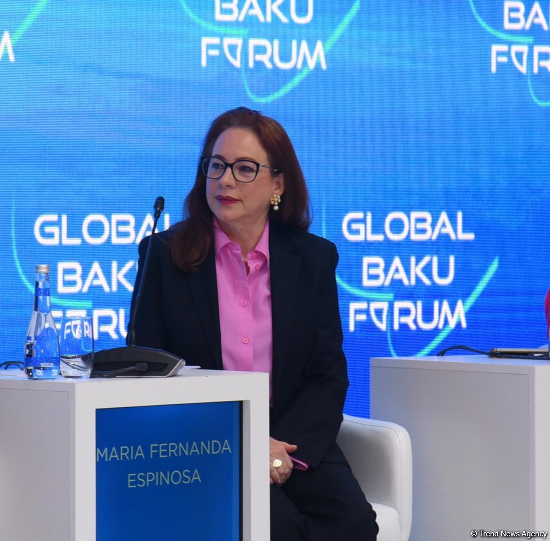 Each country needs to consider own commitments - president of UN General Assembly