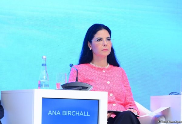 President Ilham Aliyev's re-election indicates people's trust in him - Ana Birchall