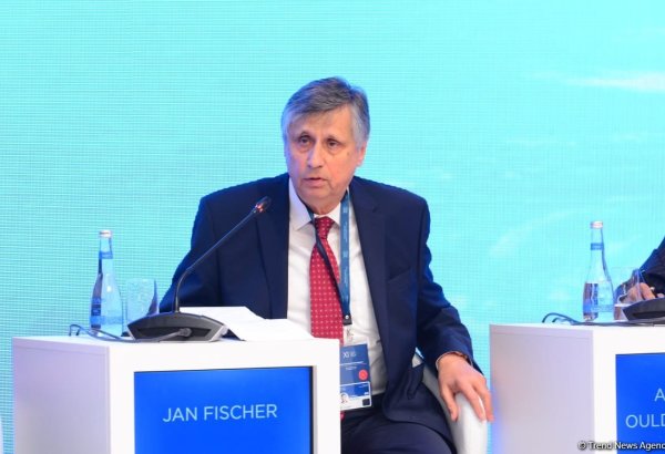 European countries' experience not useful anymore - former Czech PM