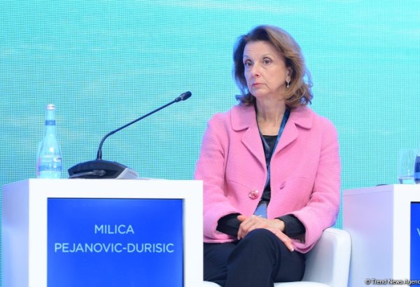 World becoming digital - former defense minister of Montenegro