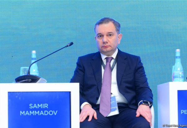 Azerbaijan standing target for cyber attacks during many years - deputy minister