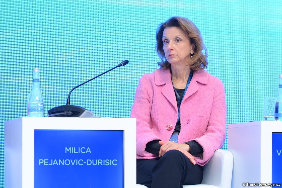 World becoming digital - former defense minister of Montenegro