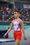 Азербайджанские гимнасты вступают в борьбу за медали "AGF Trophy": заключительный день Международного турнира в Баку (ФОТО)