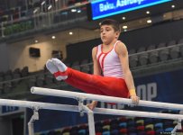Азербайджанские гимнасты вступают в борьбу за медали "AGF Trophy": заключительный день Международного турнира в Баку (ФОТО)