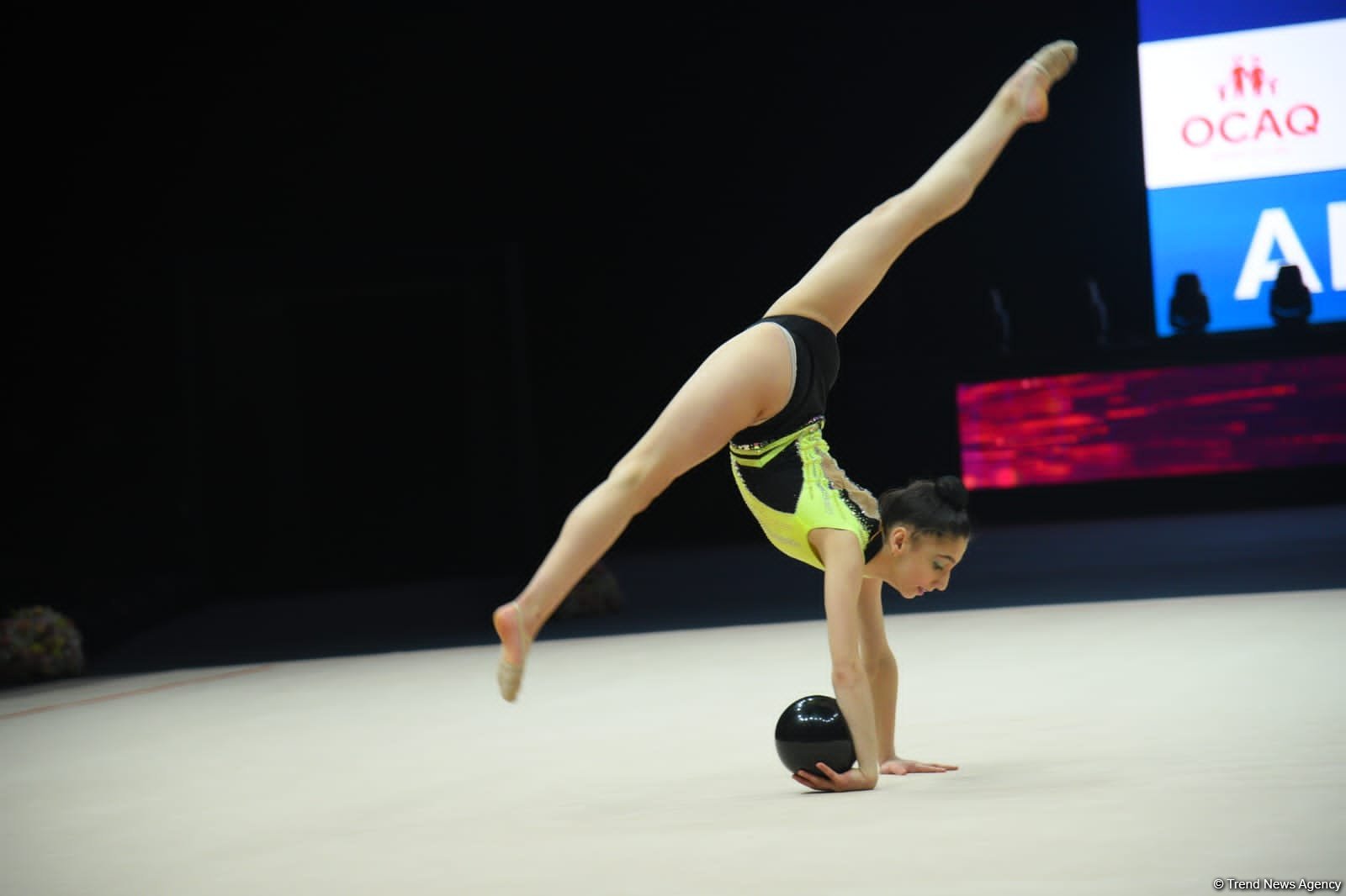 29th Azerbaijan Championship in Rhythmic Gymnastics kicks off in Baku  (PHOTO)