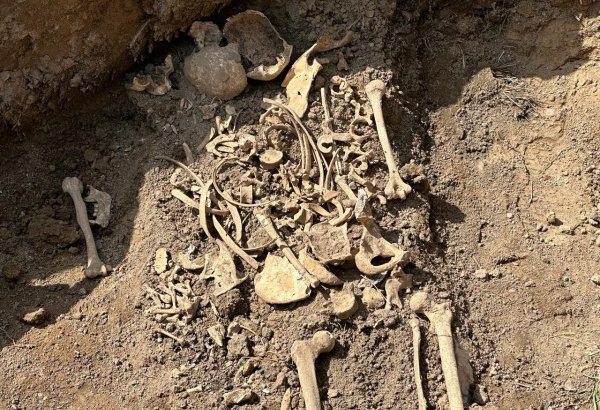 Hundreds of body dregs found in Azerbaijan’s liberated lands - Prosecutor General's Office