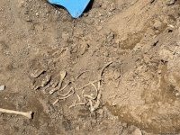Three individuals' remains discovered in Azerbaijan's Khojaly (PHOTO)