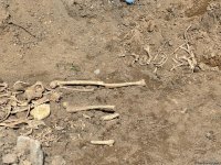 Three individuals' remains discovered in Azerbaijan's Khojaly (PHOTO)