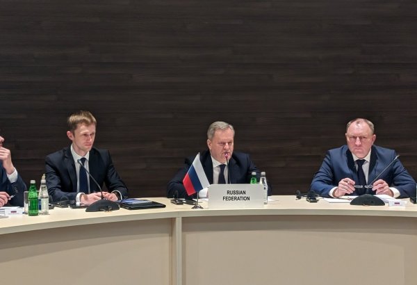 North-South corridor's dev't urges active co-op of Caspian countries - Russian official
