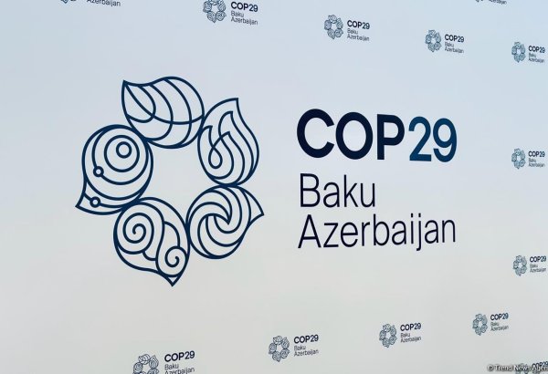 Товары, ввозимые в Азербайджан в рамках COP29, освобождены от налога