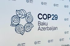 Представлен логотип COP29 (ФОТО)