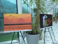 В Баку открылась выставка "Нахчыван в фотографиях" (ФОТО)