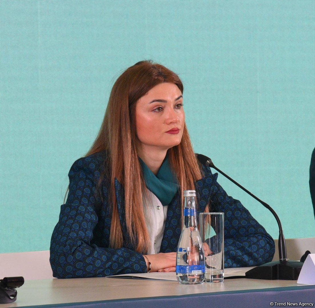 По количеству участников и масштабу COP29 станет крупнейшим мероприятием, которое проведет Азербайджан - Нармин Джарчалова