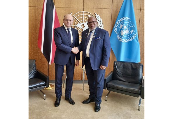 UNGA President meets with Azerbaijani energy minister