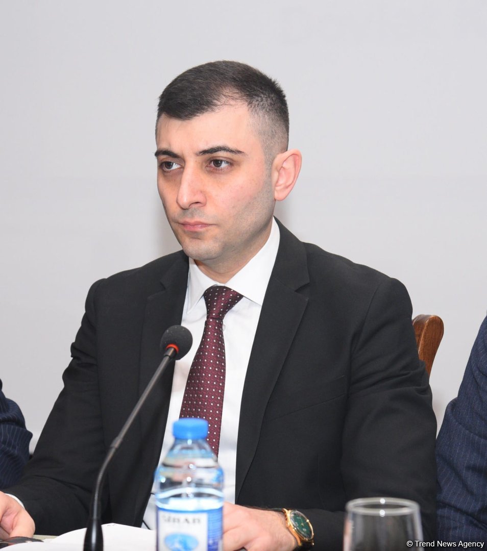В Баку прошел брифинг о массовых захоронениях и пропавших без вести лицах (ФОТО)