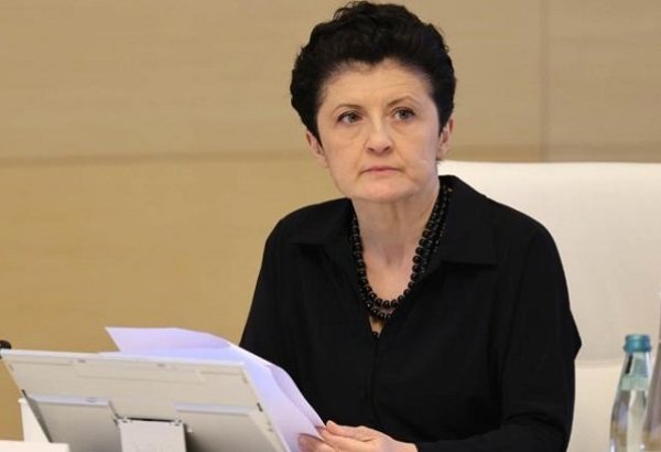 We highly esteem our friendship and partnership with Azerbaijan - Georgia's deputy PM