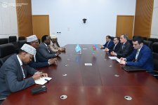 Azerbaijani FM meets with Deputy Prime Minister of Somalia (PHOTO)
