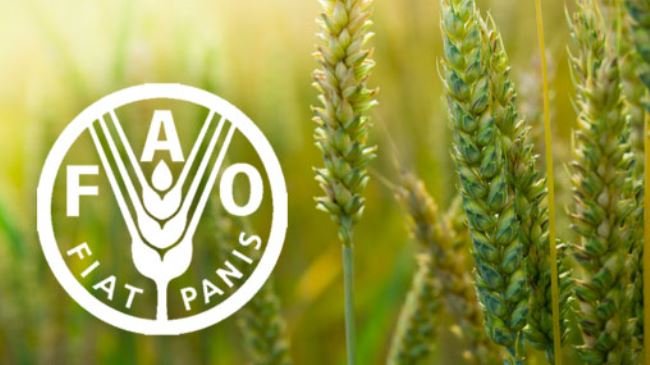 Turkmenistan, FAO launch privatization and soil management projects