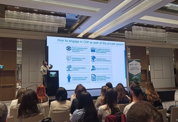 UN climate expert specifies private companies eligible for COP29