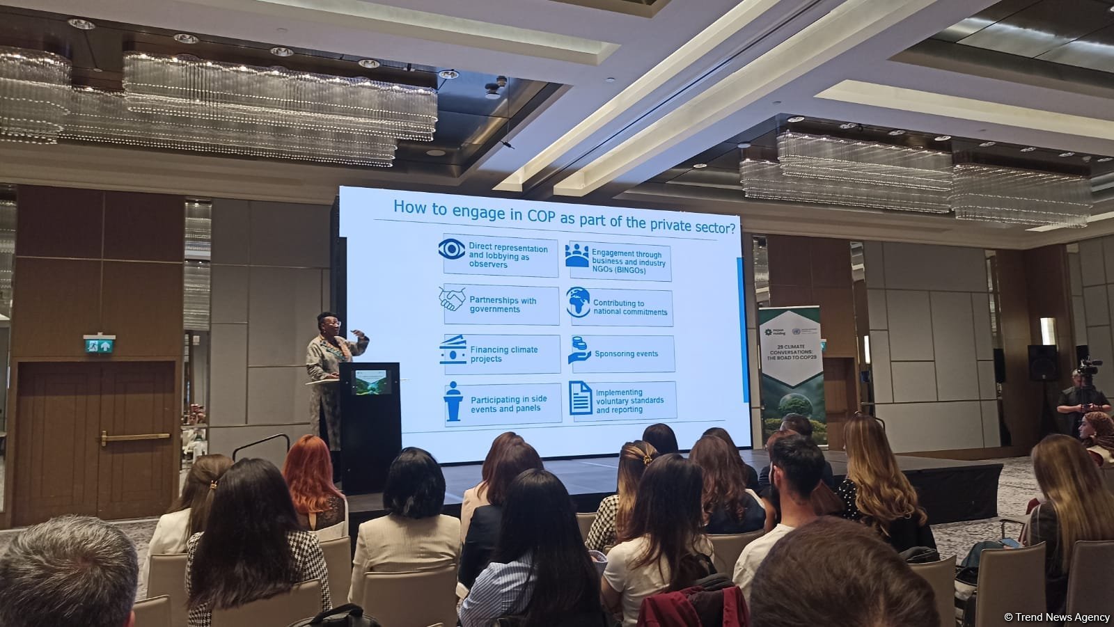 UN climate expert specifies private companies eligible for COP29