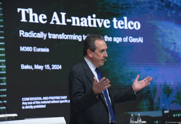 Generative AI developing at rapid pace - McKinsey's director