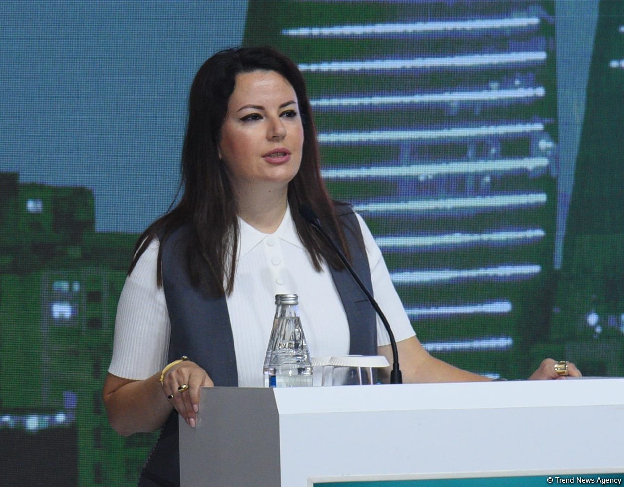 К концу года в Азербайджане будет функционировать 37 станций Azercell, использующих альтернативную энергию