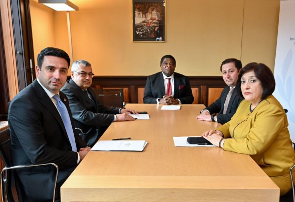 Speakers of Azerbaijani and Armenian parliaments meet in Geneva (PHOTO)