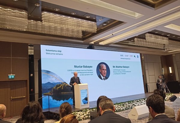 COP29 president urges Azerbaijan's commercial banks to envisage 'green' loans in their portfolios