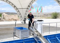 Президент Ильхам Алиев заложил фундамент села Кархулу Джебраильского района (ФОТО/ВИДЕО)