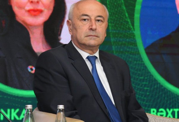 Azerbaijan’s energy efficiency fund moves into final stretch  - deputy minister
