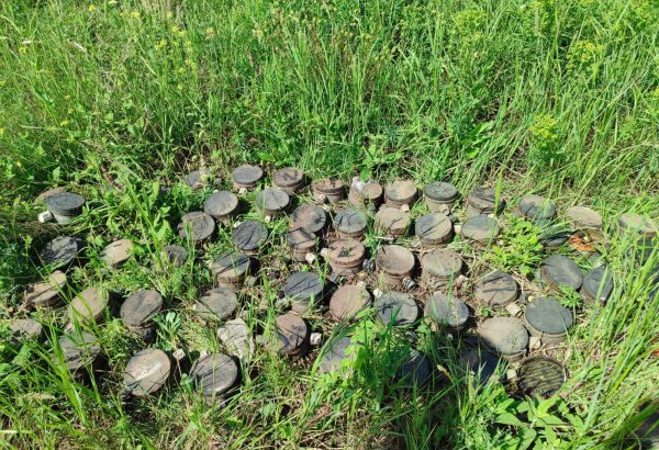 Azerbaijani mine agency chair talks demining its Gazakh district's liberated villages