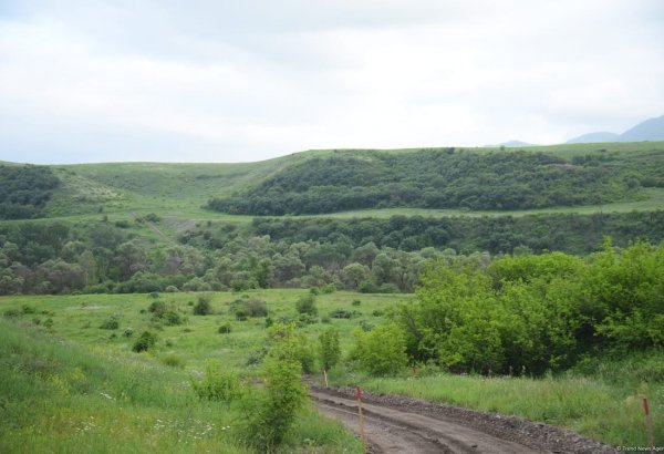 Представители СМИ посетили село Хейрымлы Газахского района (ФОТО)