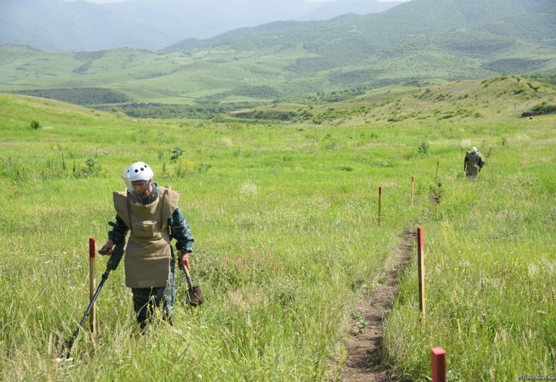 Azerbaijan to grant presidential pensions to family members of mine action victims - decree