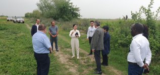 Германия поддерживает Азербайджан в усилиях по реконструкции в Карабахе - посол (ФОТО)