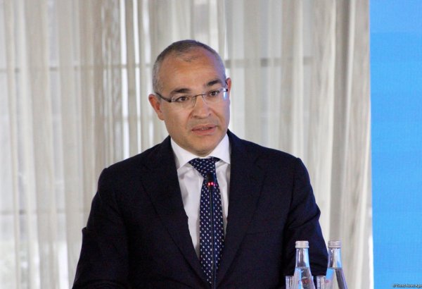 Supplier role in carbon-free economy to propel green growth - Azerbaijani minister