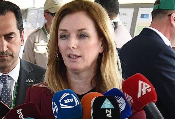 UNDP assists in building Azerbaijan's capacity in demining - regional director