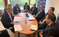 Azerbaijani minister of health holds number of bilateral meetings within 77th session of World Health Assembly (PHOTO)
