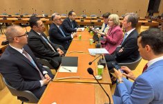Azerbaijani minister of health holds number of bilateral meetings within 77th session of World Health Assembly (PHOTO)