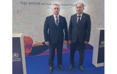 Azerbaijani minister of health holds number of bilateral meetings within 77th session of World Health Assembly (PHOTO)