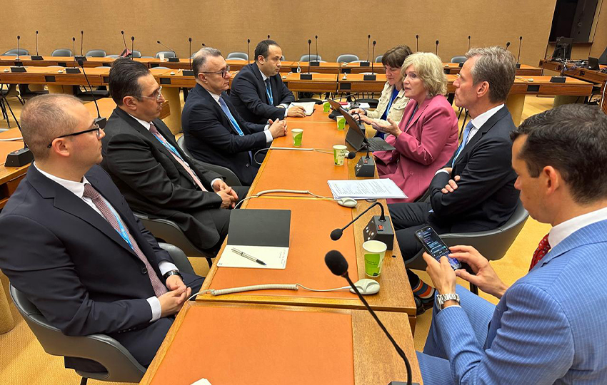 Azerbaijani minister of health holds number of bilateral meetings within 77th session of World Health Assembly (PHOTO)