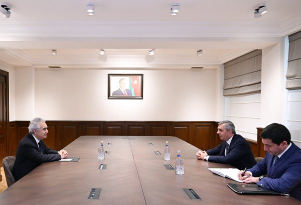 Глава Администрации Президента Азербайджана встретился с исполнительным директором МЭА  (ФОТО)